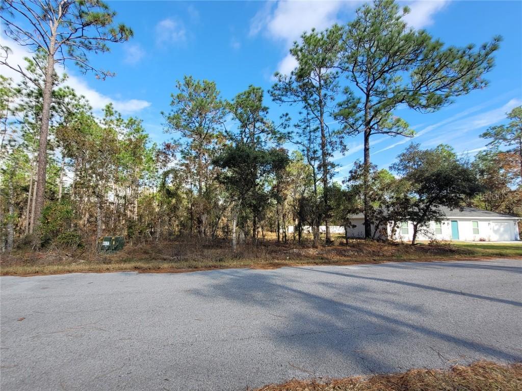 0 Nw Foxglove Lane, Dunnellon, FL 34431