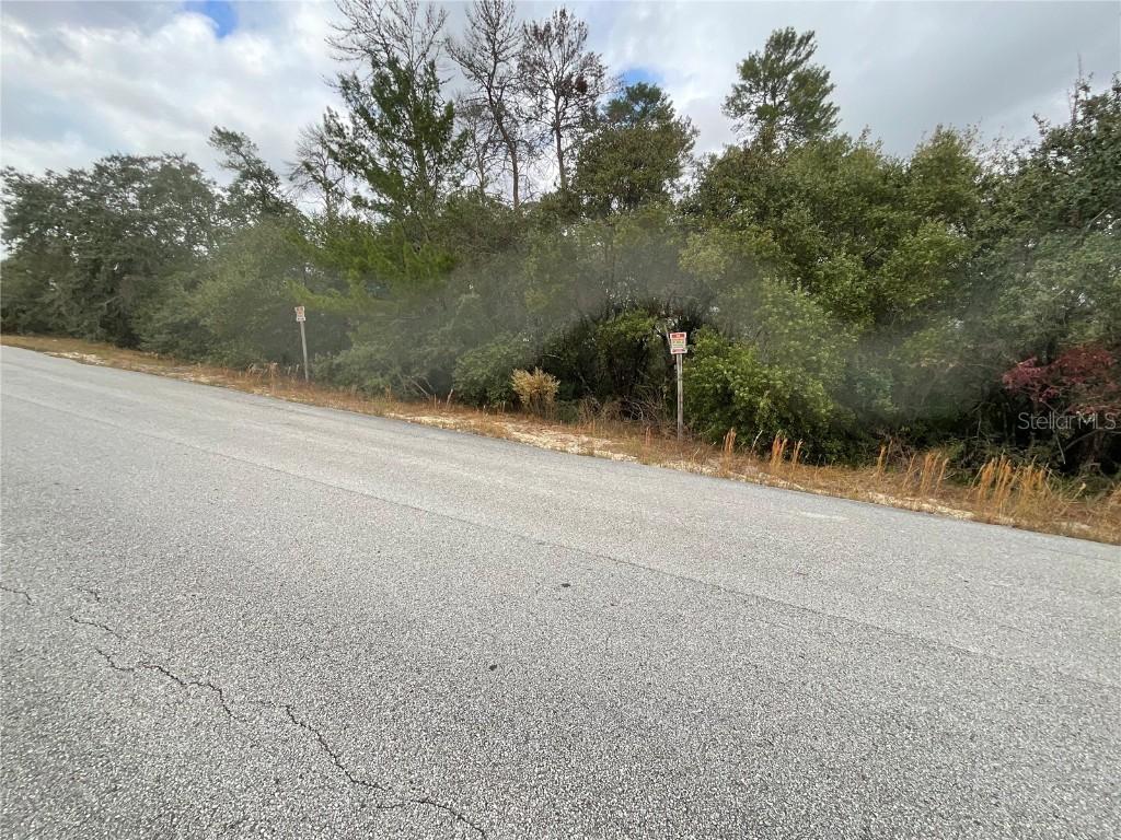 TBD SW 111th Place, Ocala, FL 34476