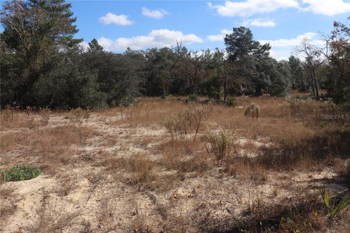 9097 N Peewee Point, Dunnellon, FL 34433