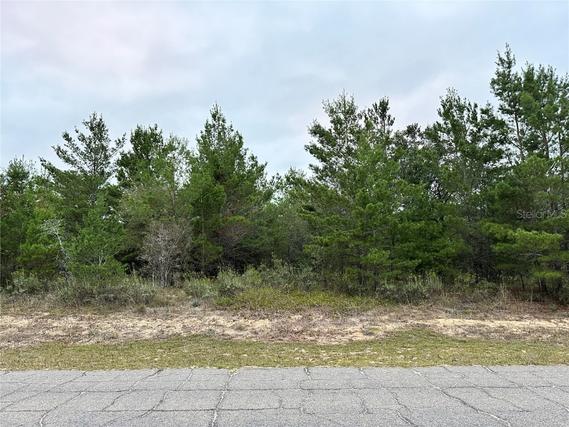 New Homes For Sale This Week in Chipley: November 28th to December 4th