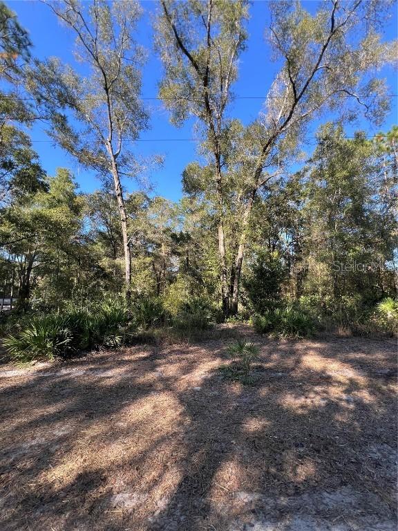 TBD SE 179th Pl., Summerfield, FL 34491