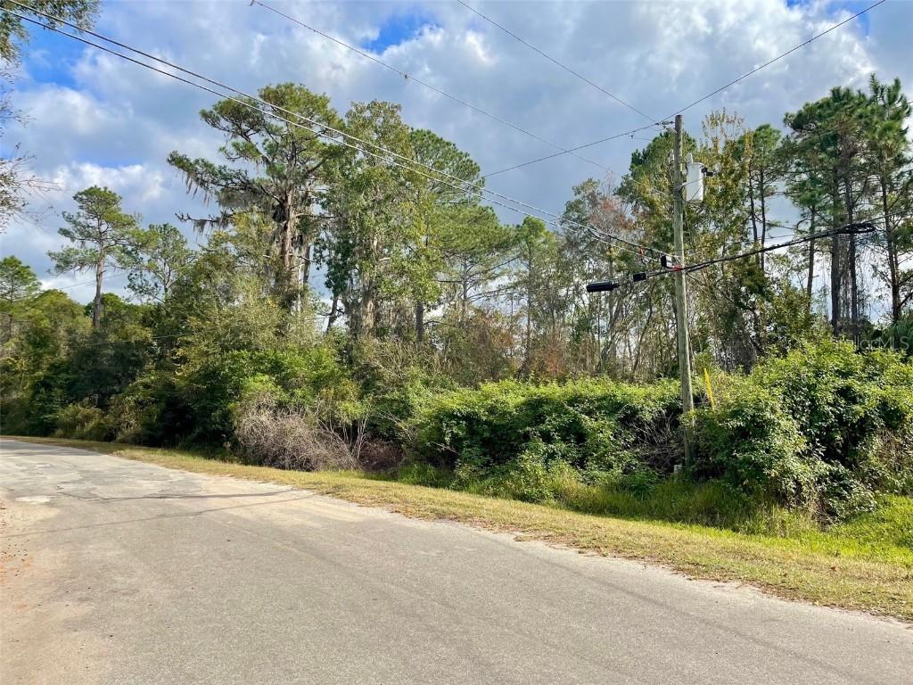 000 Fisher Run, Ocklawaha, FL 32179
