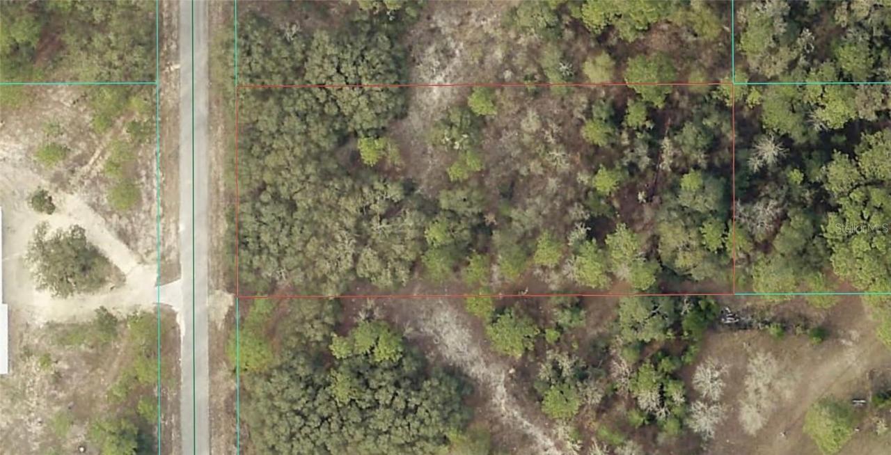 0 TBD SW Tamiami Pl., Dunnellon, FL 34431