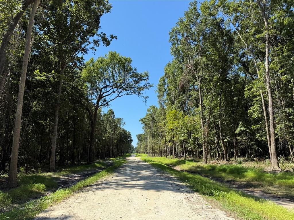 DR #7 (10ac) NW 193rd St, Micanopy, FL 32667