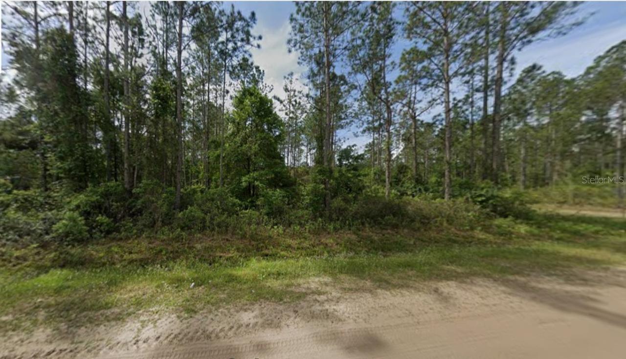 10720 Beckenger Ave., Hastings, FL 32145