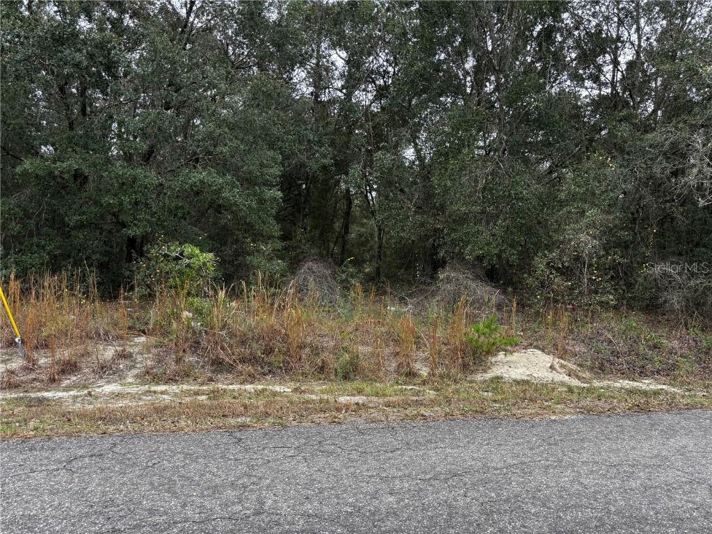 SE 115th Place Rd., Ocklawaha, FL 32179