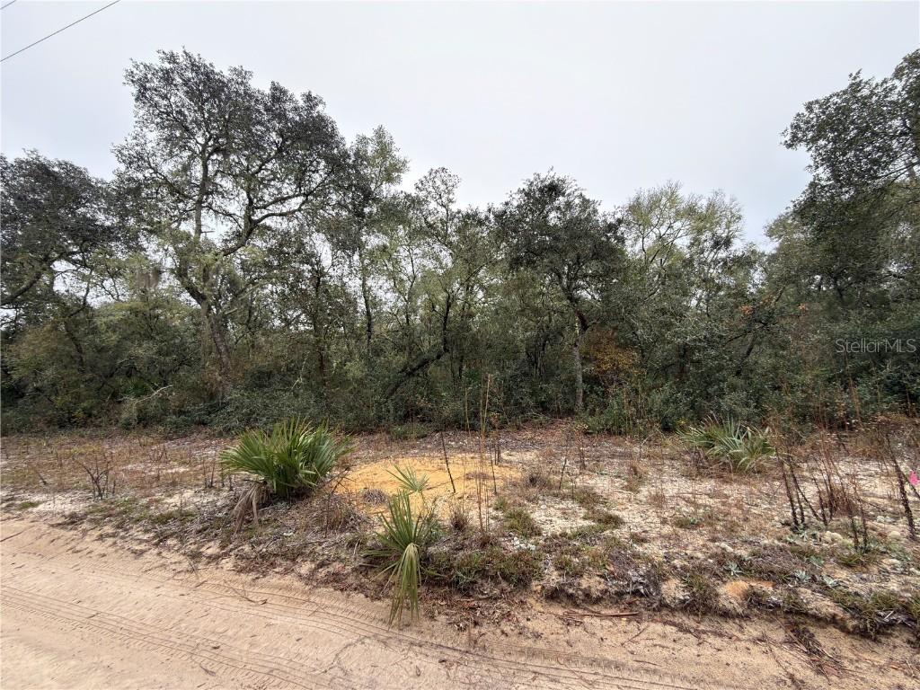 TBD NE 234th Pl., Fort Mc Coy, FL 32134