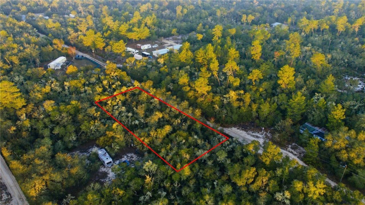 TBD NE 234th Pl., Fort Mc Coy, FL 32134