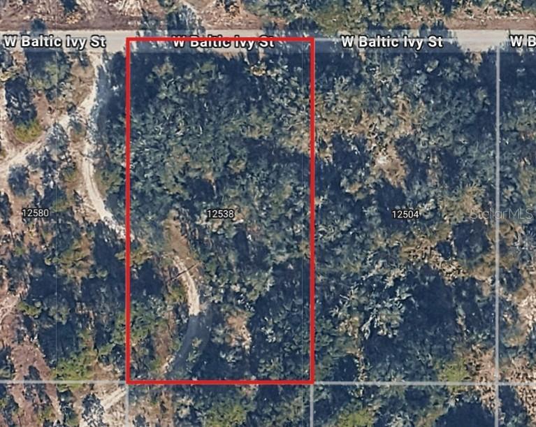 12538 W Baltic Ivy St., Crystal River, FL 34428