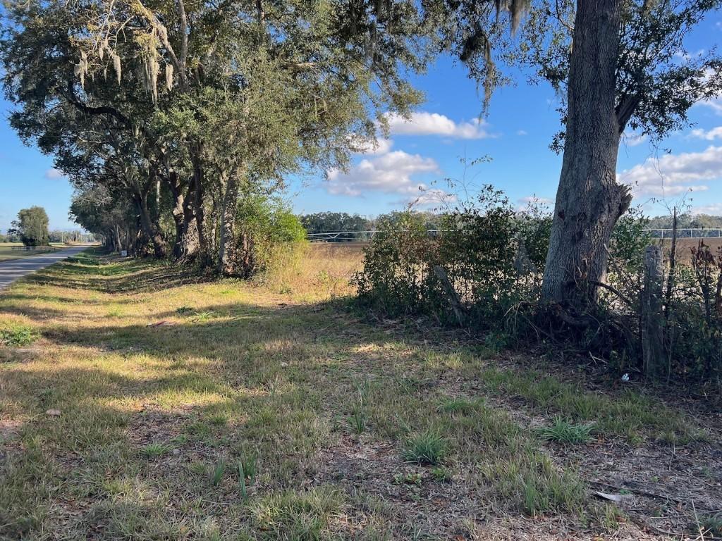 NE 150 St., Trenton, FL 32693