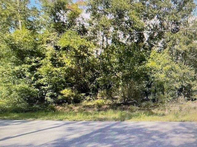 2265 SW Admiral Landing Dr., Dunnellon, FL 34431