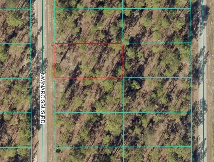 TBD1 NW Narcissus Rd., Dunnellon, FL 34431