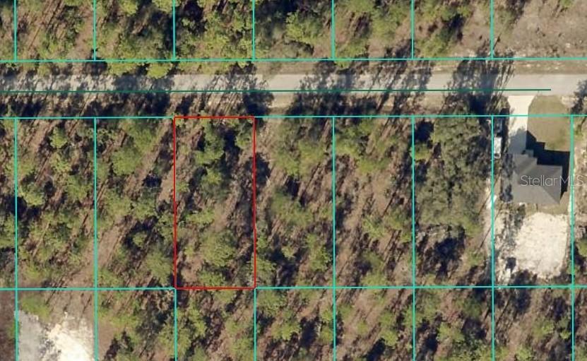 TBD NW Tamarind Ln., Dunnellon, FL 34431