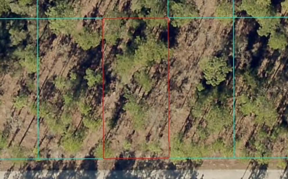 TBD1 NW Tamarind Ln., Dunnellon, FL 34431