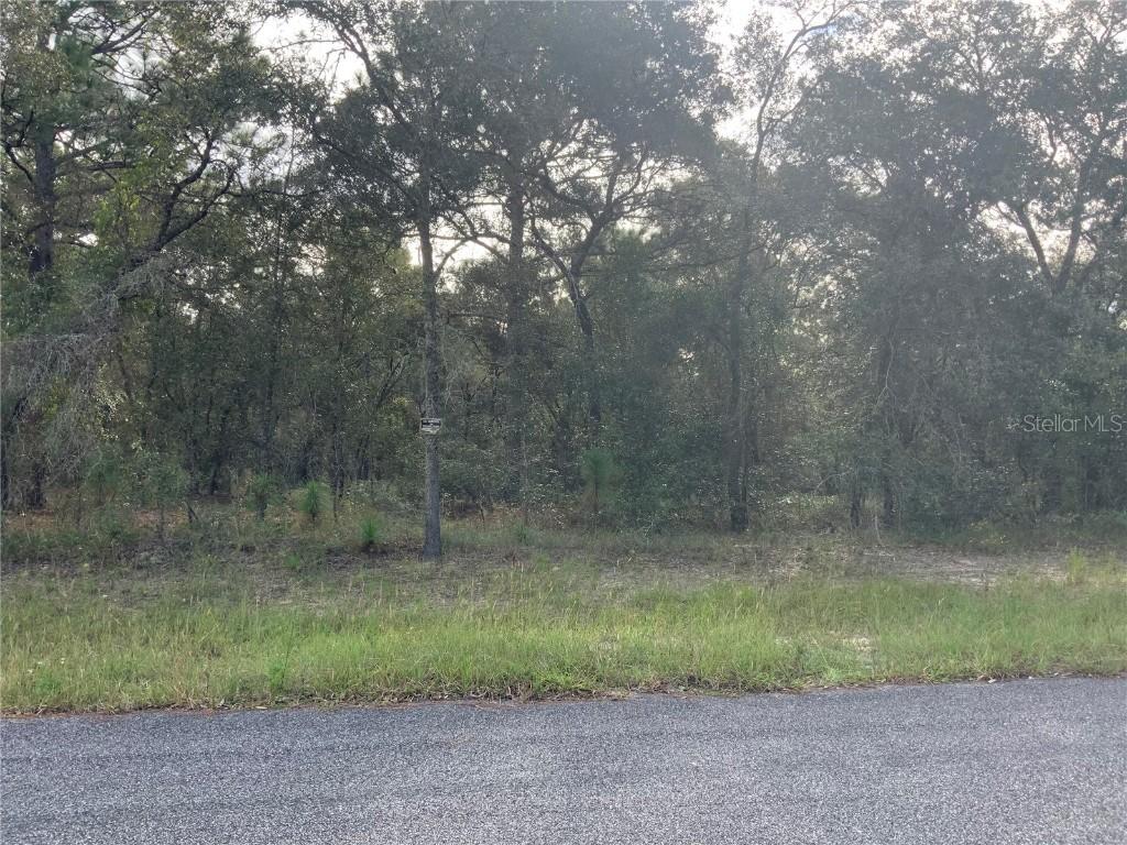 00 SE 136th.  Lot 9 Ter., Morriston, FL 32668