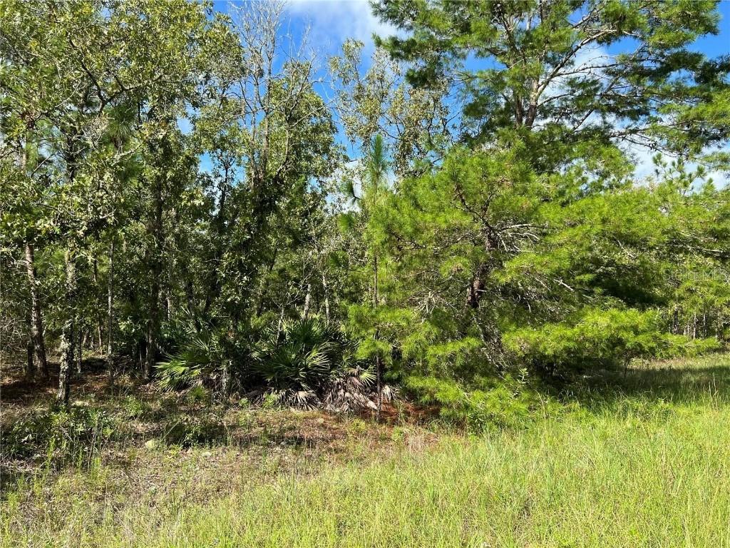 TBD SW 93rd St., Dunnellon, FL 34432