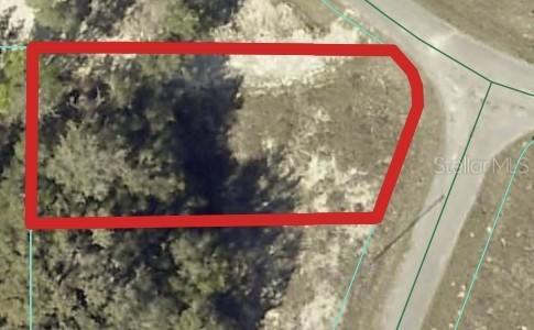 00 Maple Ln., Ocklawaha, FL 32179