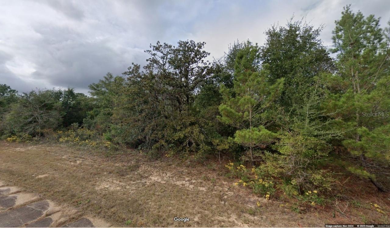 Lot 3 Unit 11 Blk 752 Kapok Ave., Chipley, FL 32428