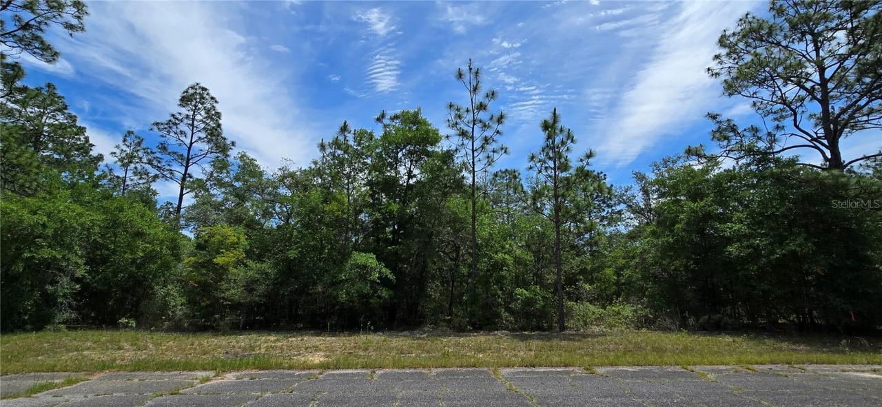 Lot 18 Unit 1 Blk 6 Fusion Cir., Chipley, FL 32428