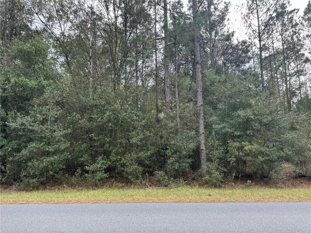 SW Beach Blvd., Dunnellon, FL 34431