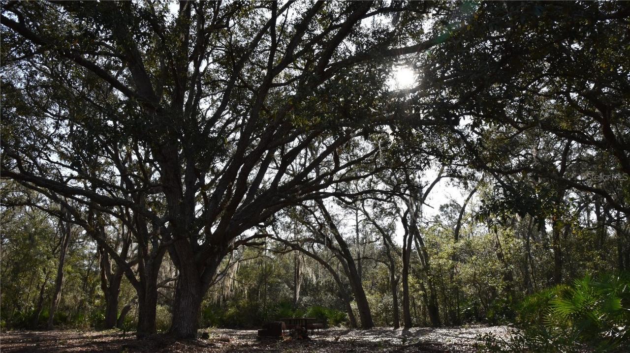 81 Clouds Ave, Interlachen, FL 32148