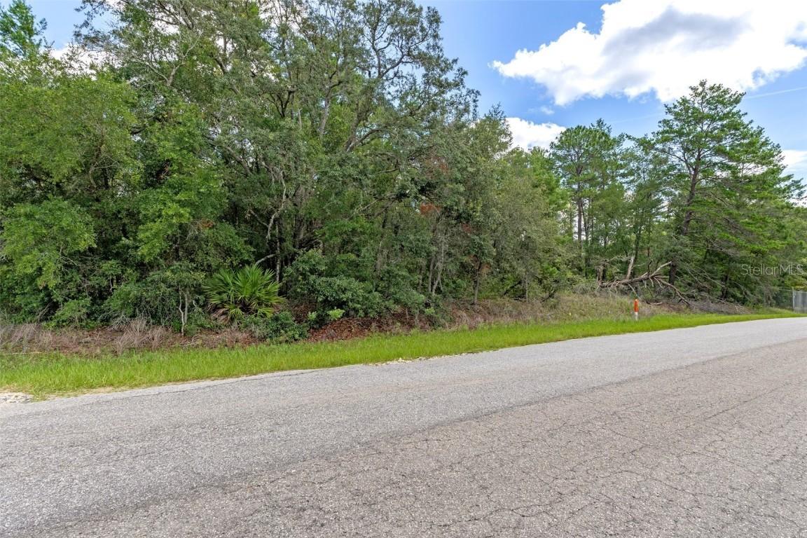701 E Overdrive Lot 16 Cir., Hernando, FL 34442