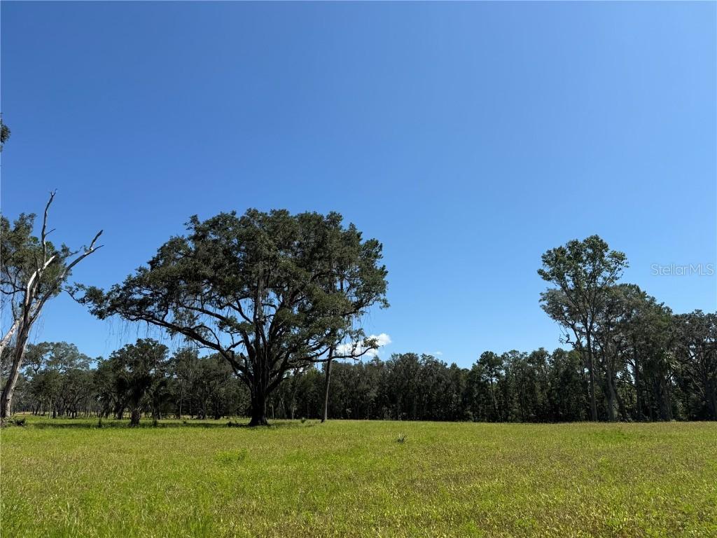 DO #6 (24ac) NW 193rd St, Micanopy, FL 32667