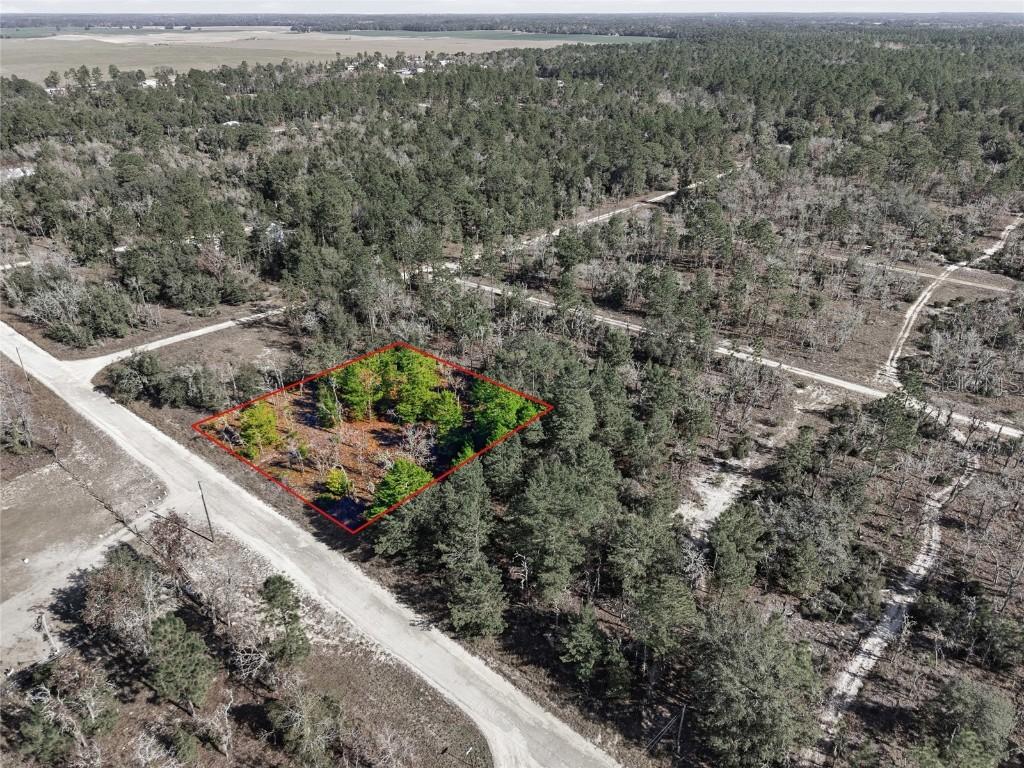 00 NE 150th Ave, Williston, FL 32696