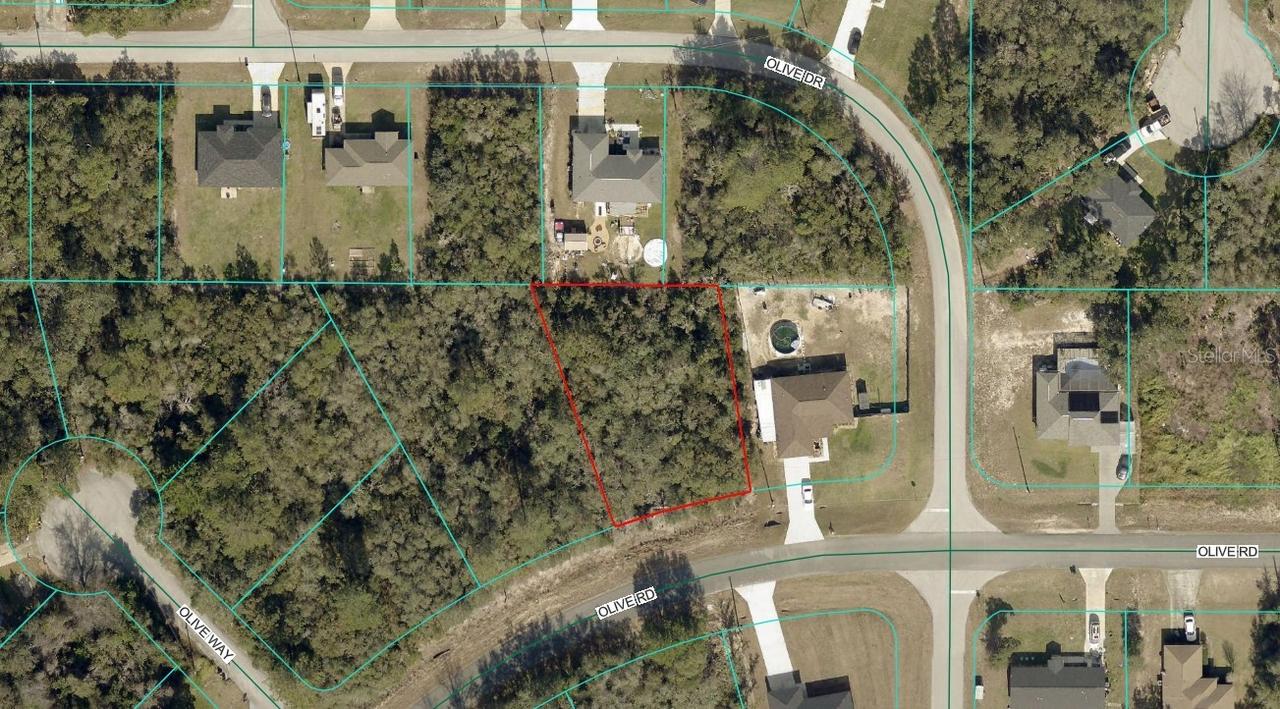 TBD LOT 17 Olive Rd., Ocala, FL 34472