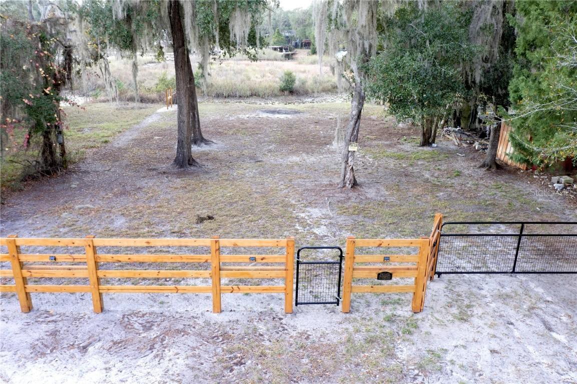 TBD NE 152nd Ln., Salt Springs, FL 32134