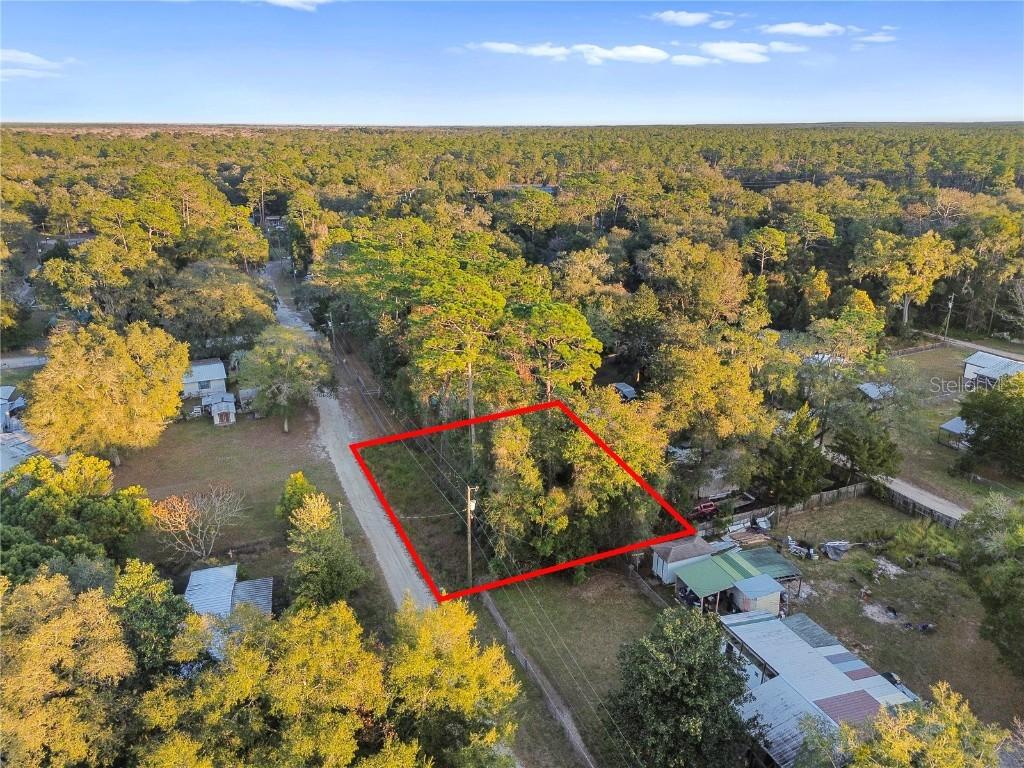 000 NE 131st Ln., Salt Springs, FL 32134
