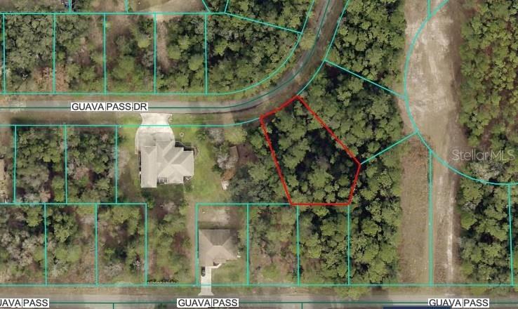 Lot 26 Guava Pass Dr., Ocklawaha, FL 32179