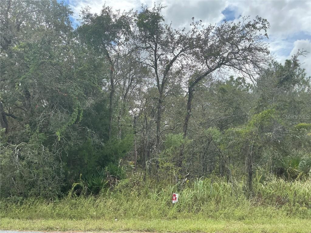 11434 Poorwill Ave., Brooksville, FL 34614