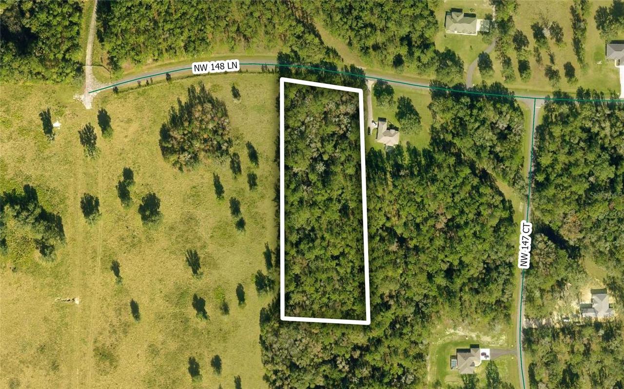 TBD NW 148 Ln., Williston, FL 32696