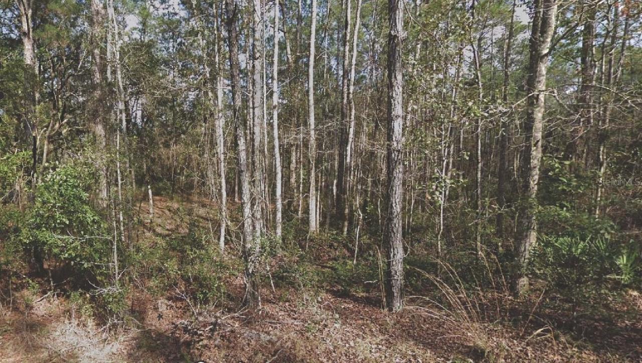 130 SE 5th St., Palatka, FL 32177