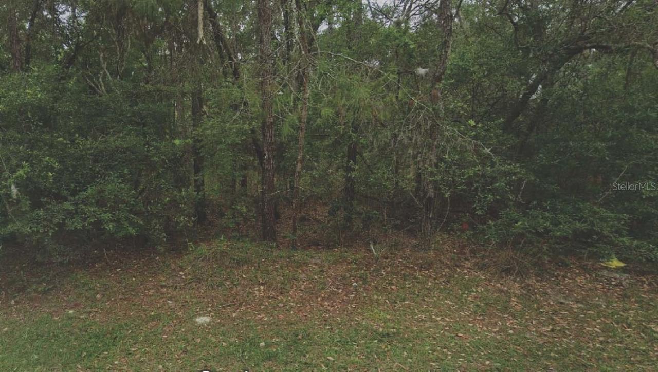 105 Rhode Island Ave., Satsuma, FL 32189