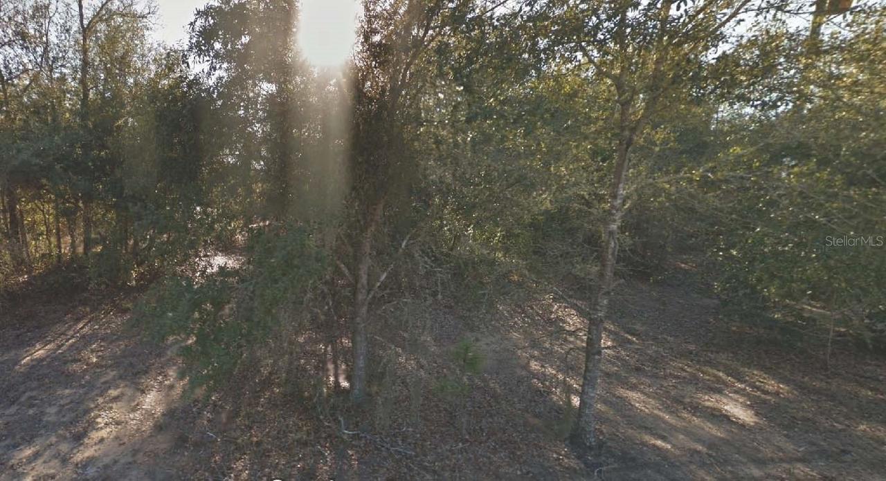 304 California Ave., Interlachen, FL 32148