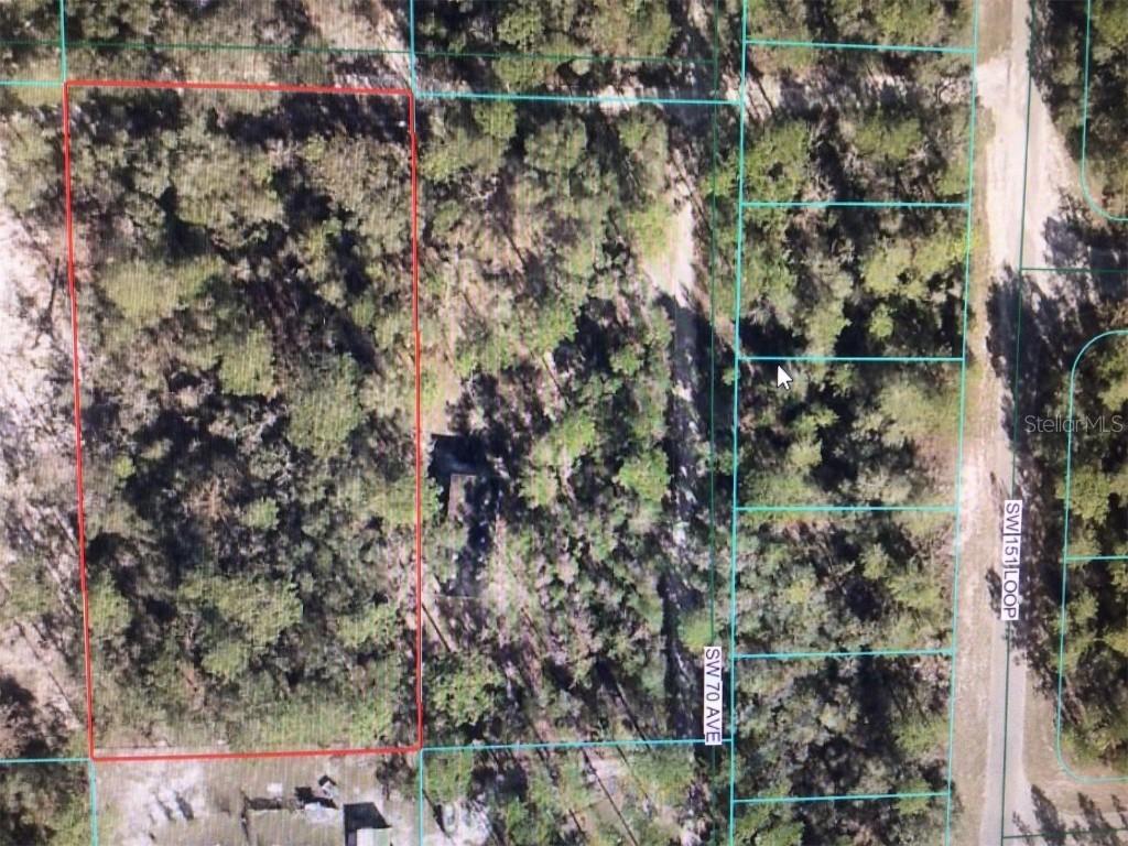 SW 151 Pl., Dunnellon, FL 34432
