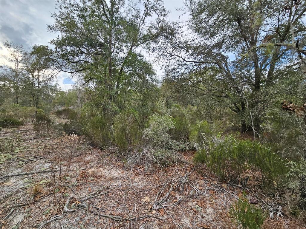 10350 NE 97th Pl., Archer, FL 32618