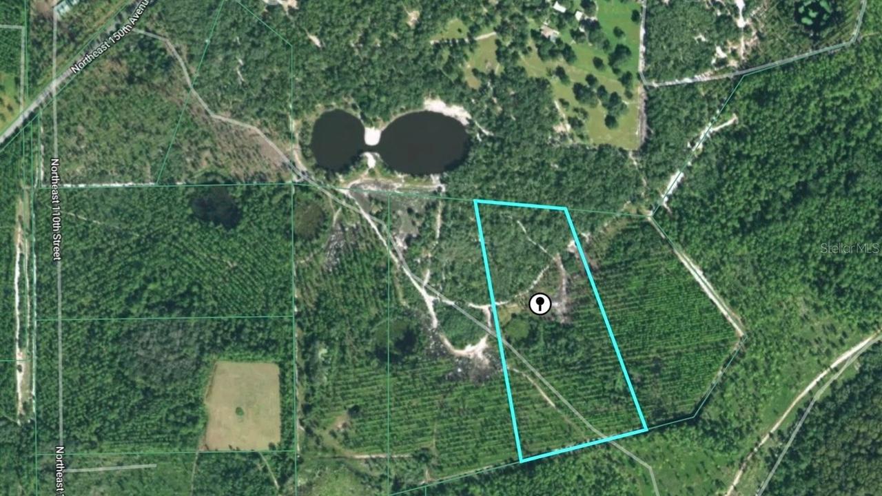 TBD (Lot 5) NE 115th Lane Rd., Fort Mc Coy, FL 32134