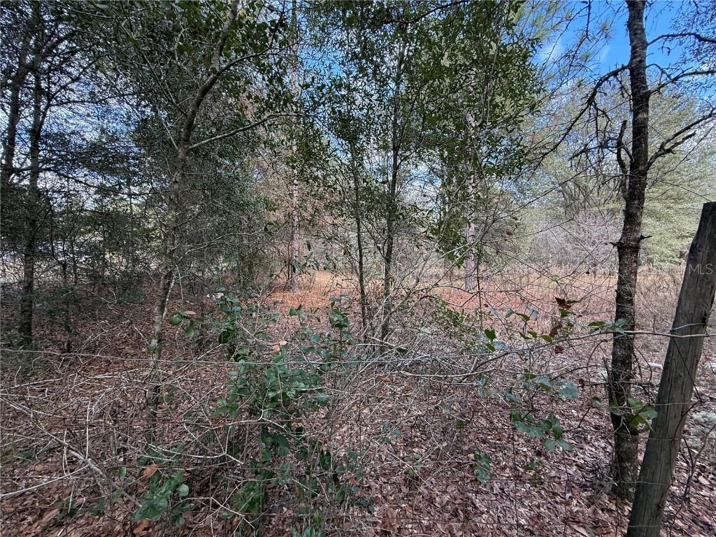 TBD NE 194th St., Citra, FL 32113