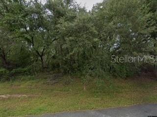 16593 SW 31st Cir., Ocala, FL 34473