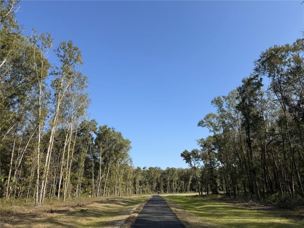 Irvine Acres #3 (10ac) W Hwy 318, Reddick, FL 32686