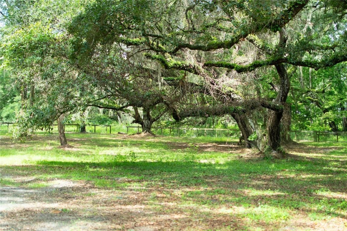 4100 SW 89th Ave., Ocala, FL 34481