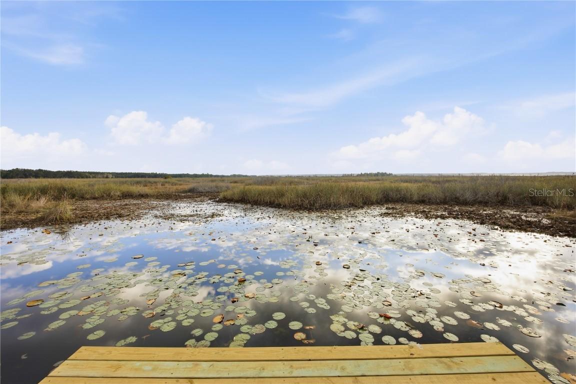 23422 NE 154th Place Rd., Salt Springs, FL 32134