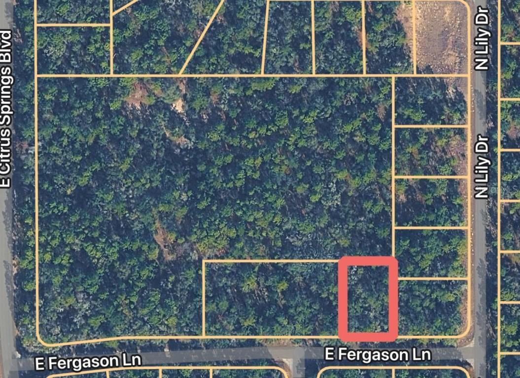 1409 E Fergason Ln., Dunnellon, FL 34434