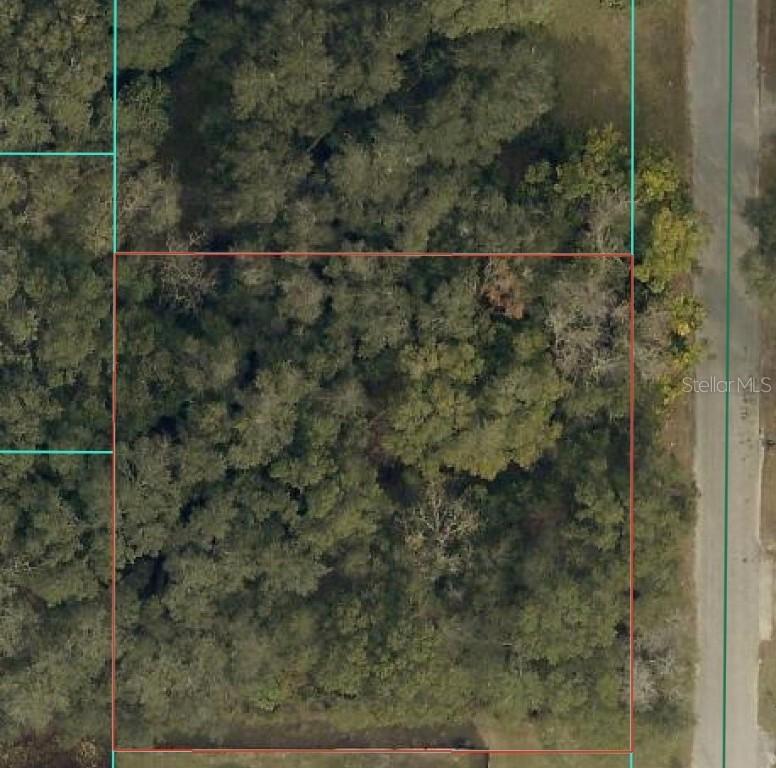 TBD SE 94 Ct., Summerfield, FL 34491