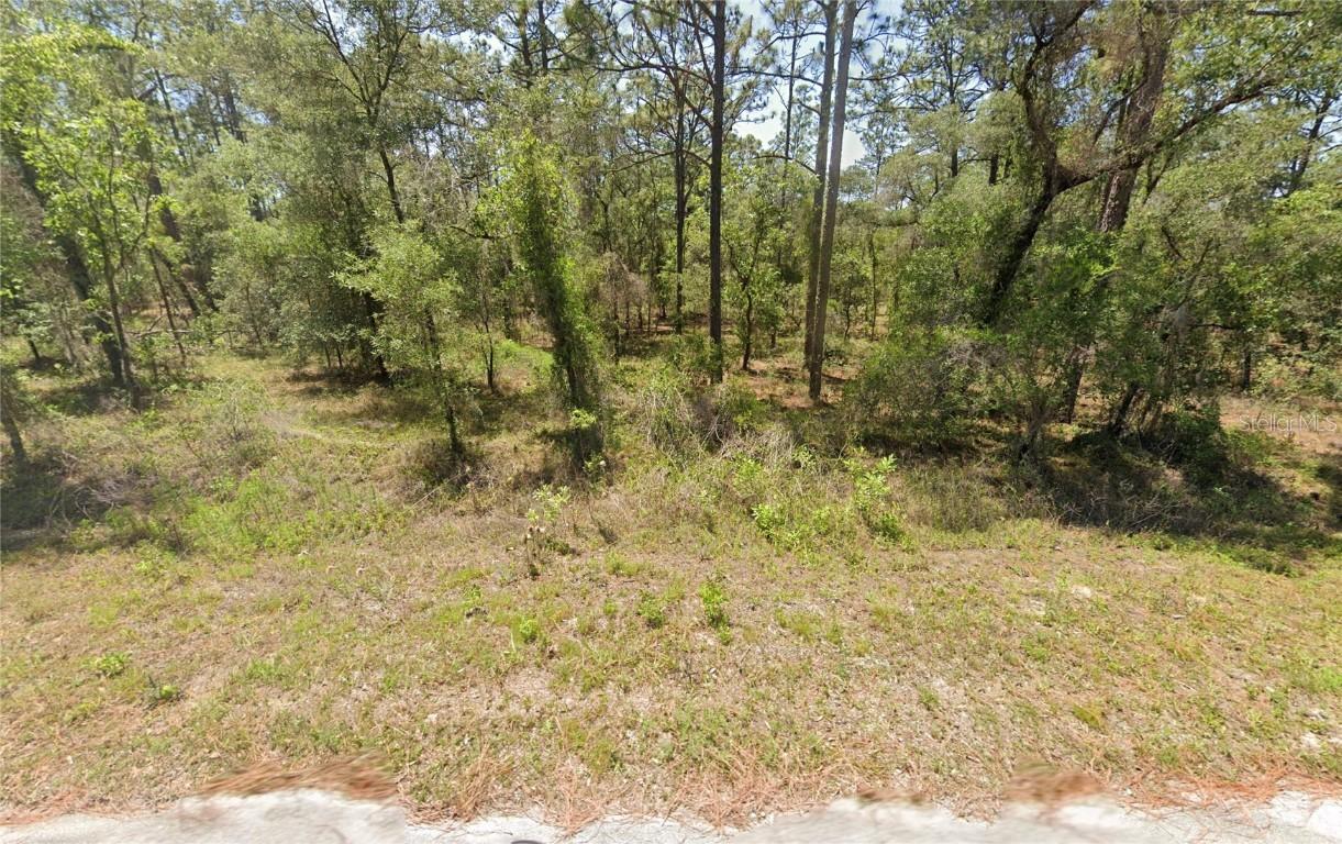 156 NW Redwing Rd., Dunnellon, FL 34431