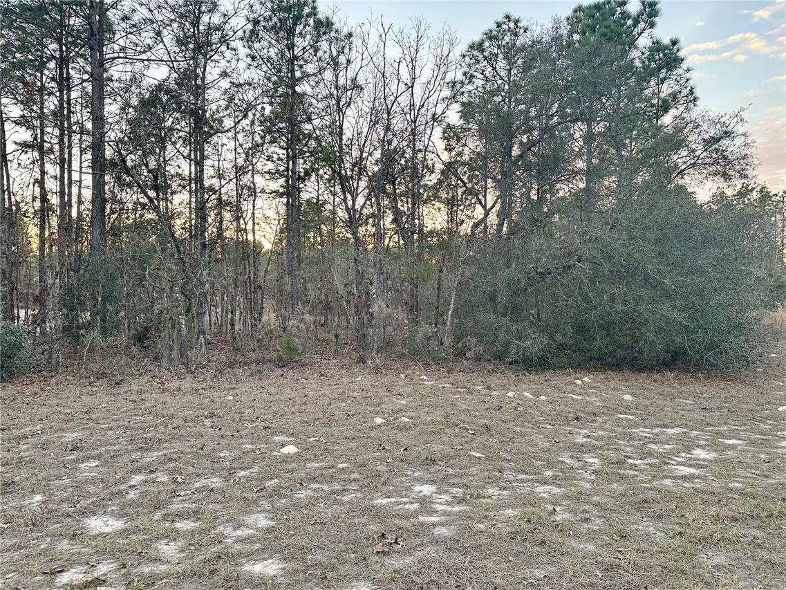 Sw 129th Pl, Ocala, FL 34473