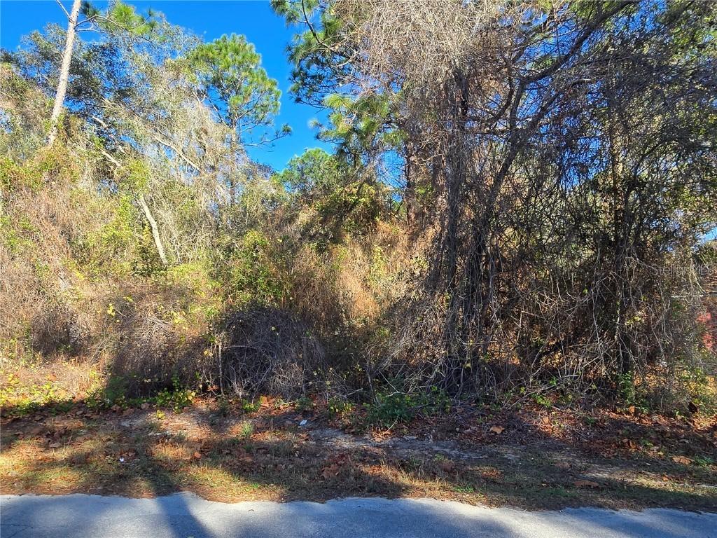 3257 E Kennedy St., Inverness, FL 34453